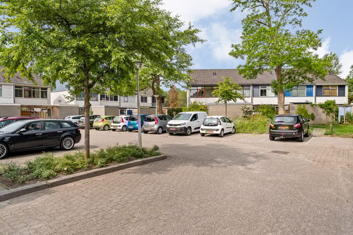 Foto 36 van Raaigras 141