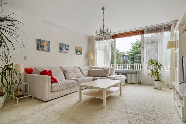 Foto 2 van Stenen Beer 8