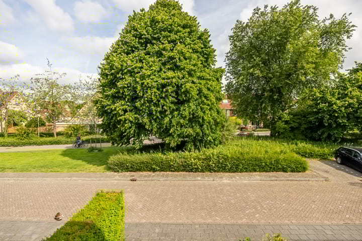 Foto 20 van Stenen Beer 8