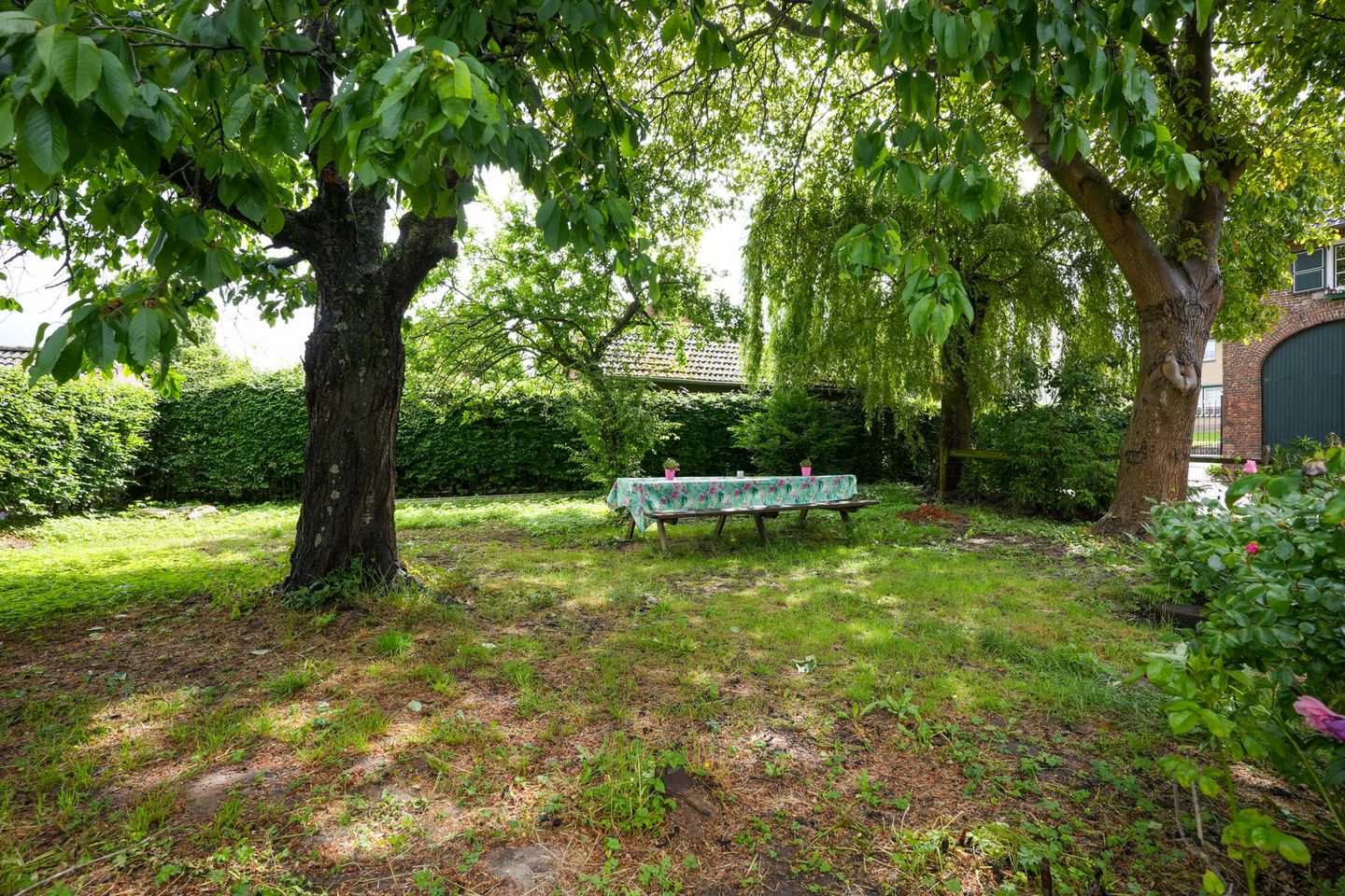 Foto 40 van Rodestraat 29