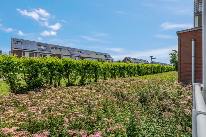 Foto 27 van Sestertiusstraat 50