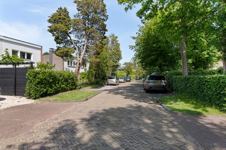 Foto 45 van Irenelaan 11