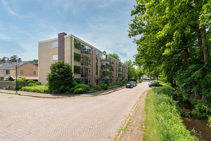 Photo 3 of Colenso 12