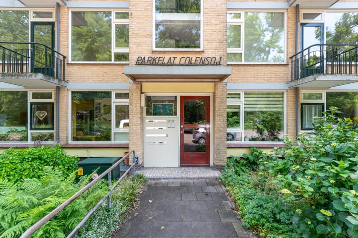 Photo 4 of Colenso 12