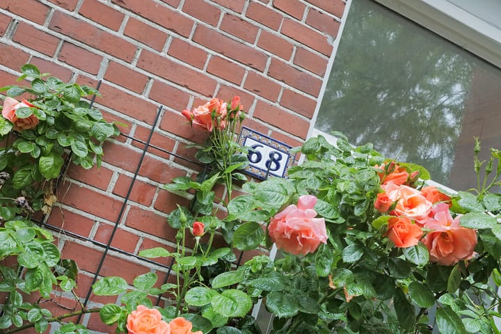 Foto 13 van Billitonstraat 68