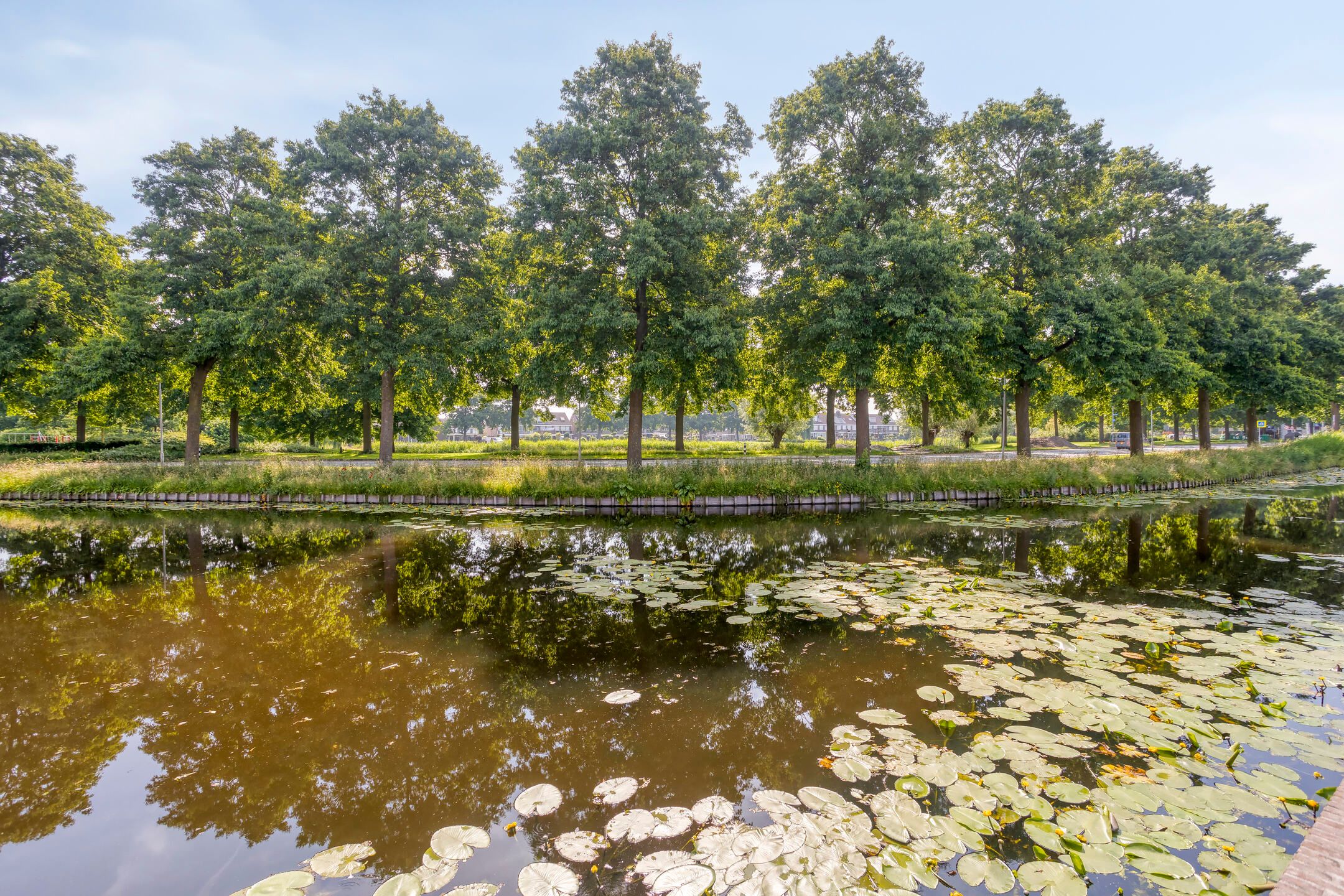 Foto 3 van Logger 30