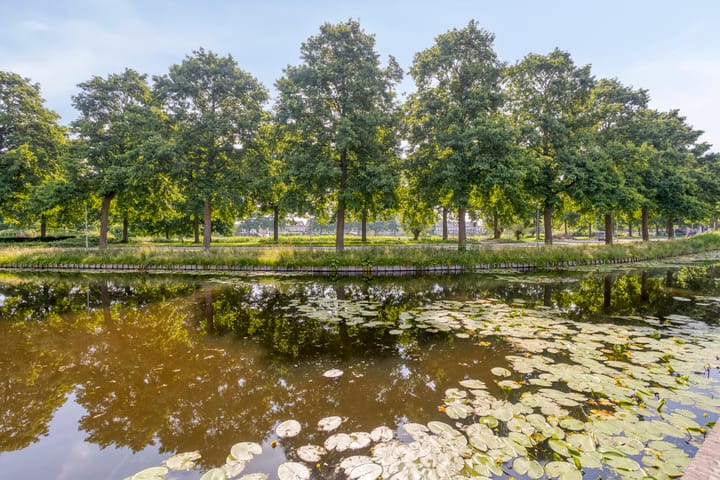 Foto 3 van Logger 30