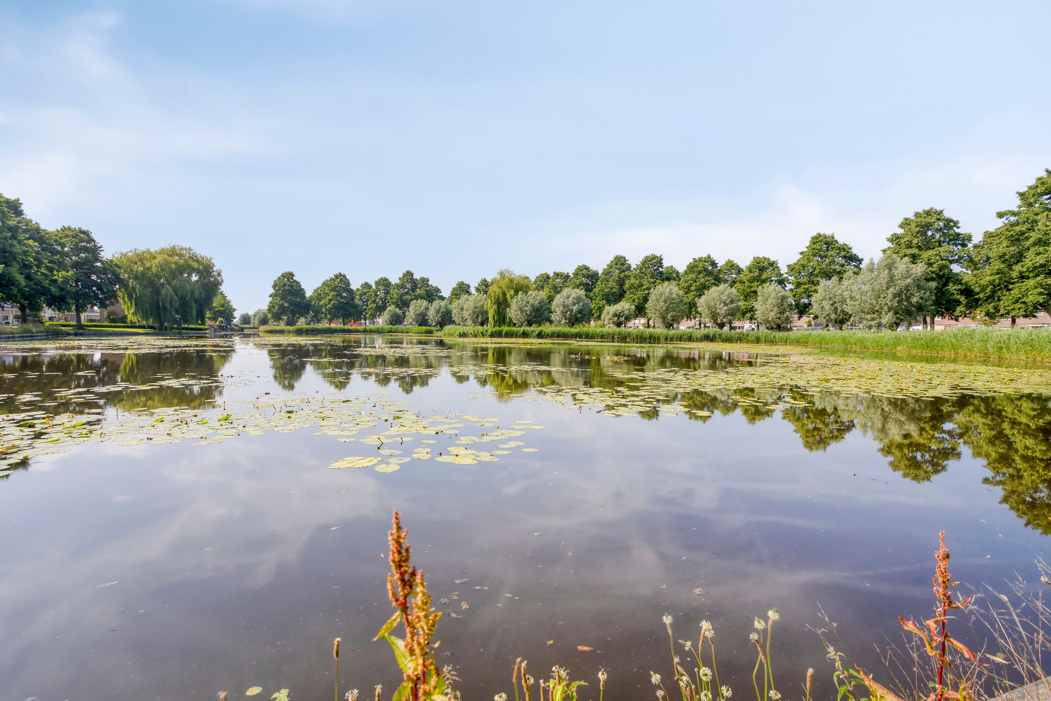 Foto 36 van Logger 30