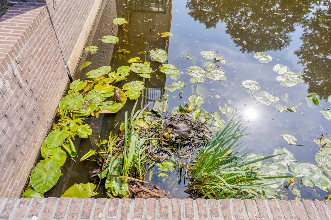 Foto 32 van Logger 30