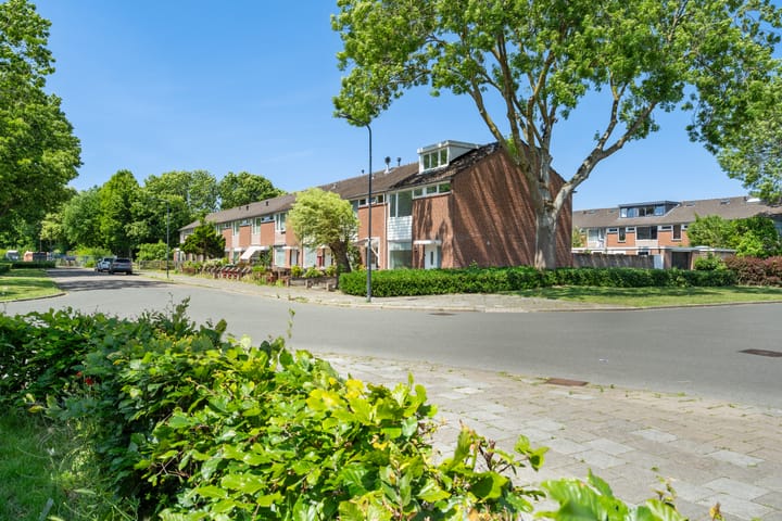 Foto 37 van Hamdijk 2