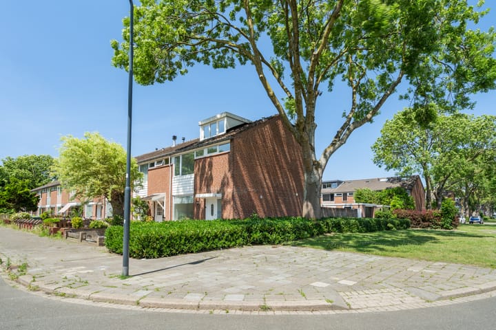 Foto 38 van Hamdijk 2