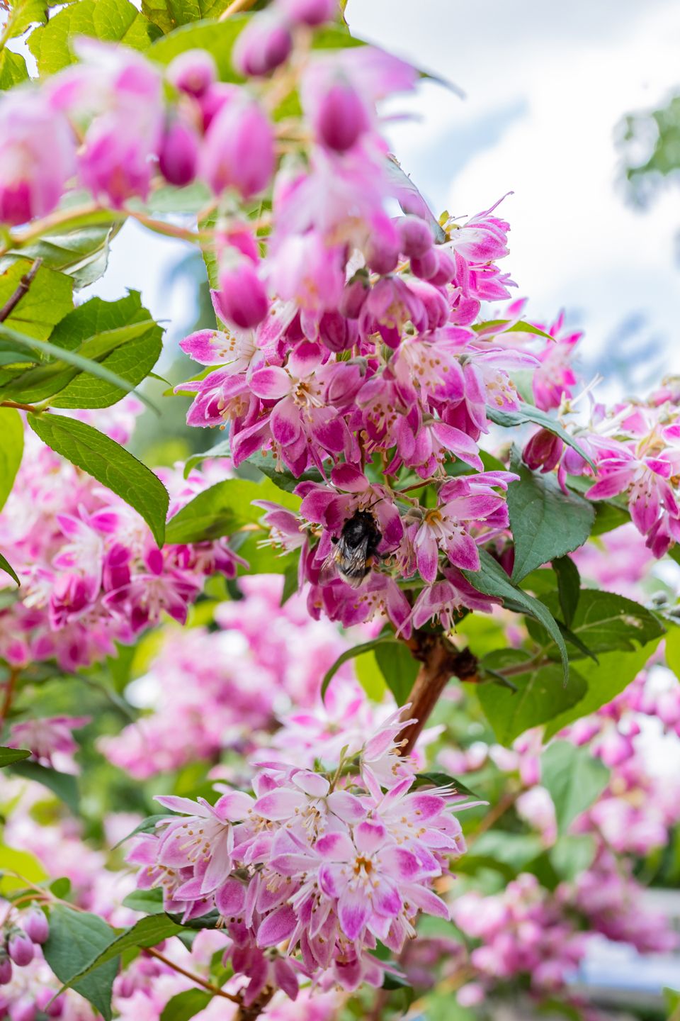 Foto 90 van Grote Brink 33