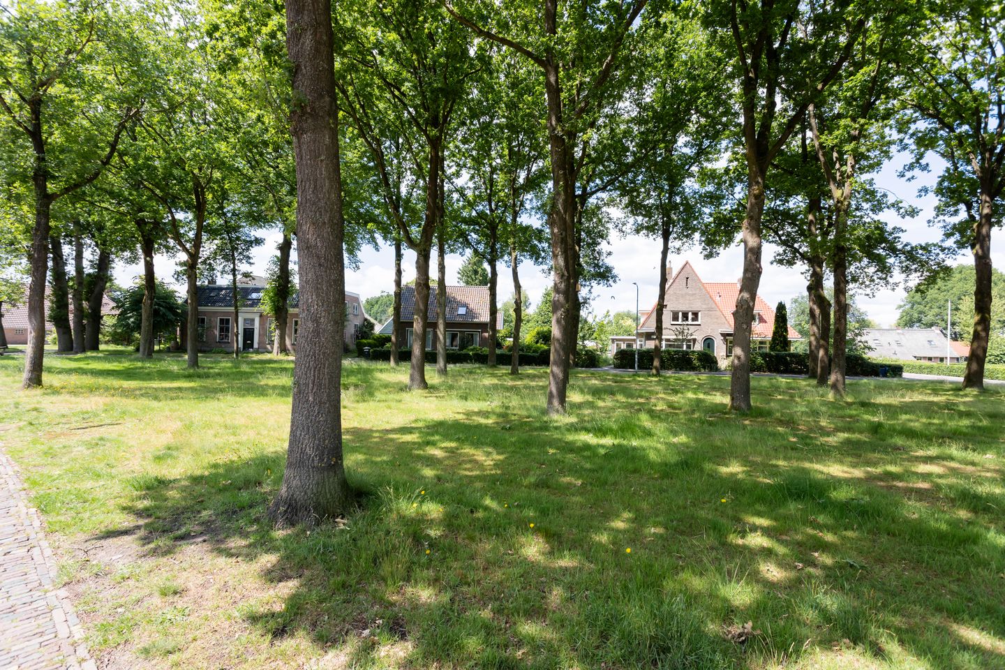 Foto 100 van Grote Brink 33