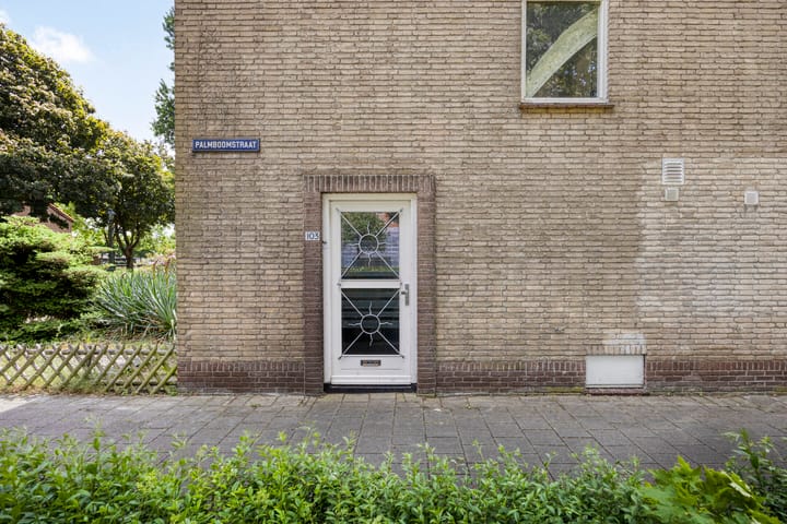 Foto 6 van Palmboomstraat 103