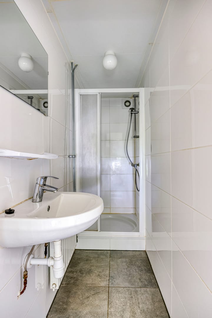 Foto 21 van Palmboomstraat 103