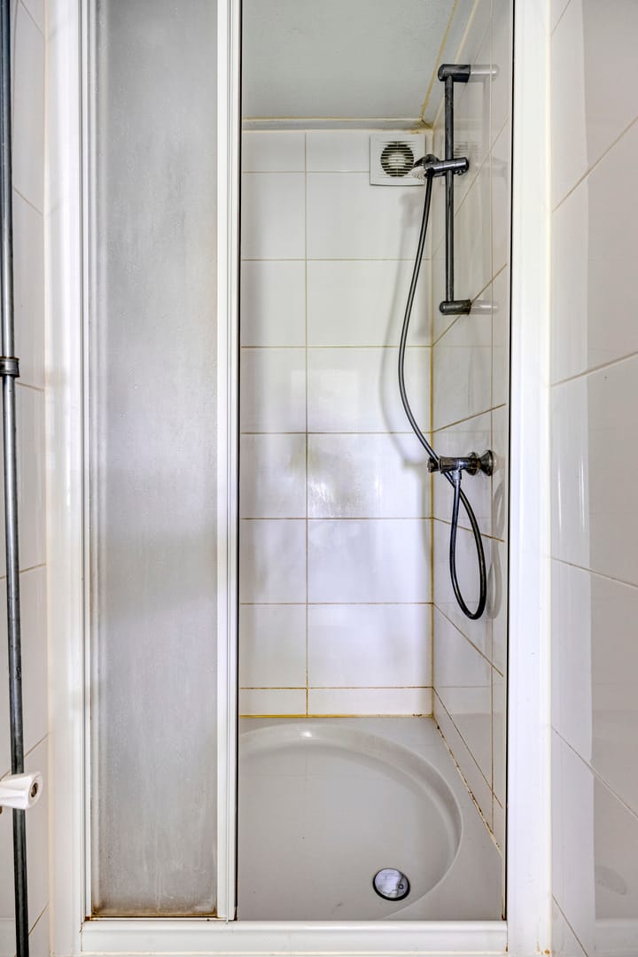 Foto 22 van Palmboomstraat 103