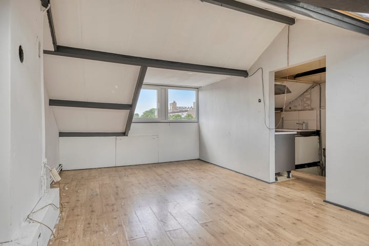 Foto 31 van Palmboomstraat 103