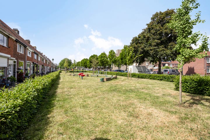 Foto 35 van Palmboomstraat 103