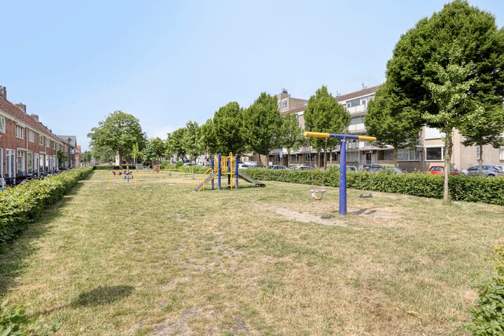 Foto 37 van Palmboomstraat 103