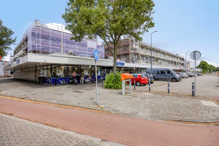 Foto 44 van Palmboomstraat 103