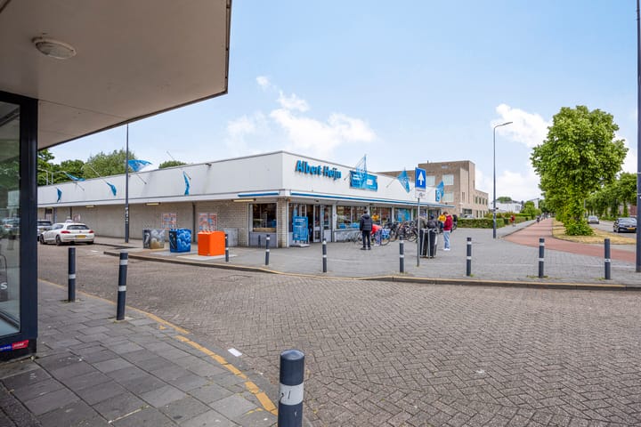 Foto 46 van Palmboomstraat 103