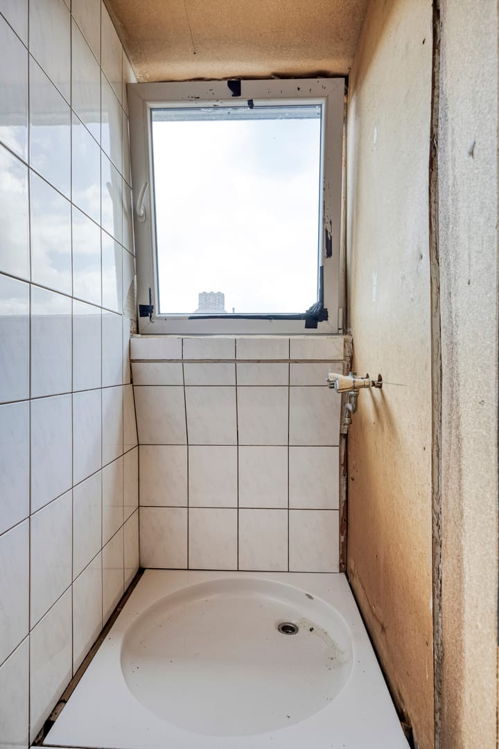 Foto 27 van Palmboomstraat 103