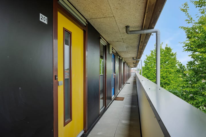 Foto 19 van Dommelstraat 201