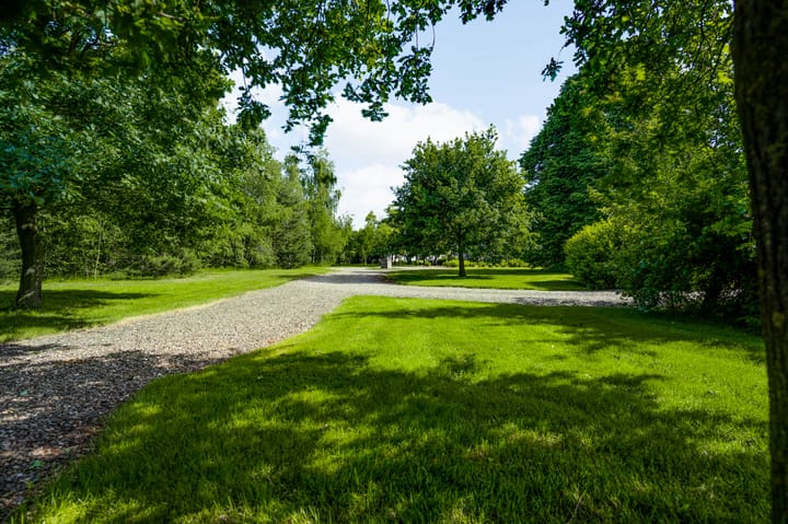 Foto 4 van Bergsheisteeg 1