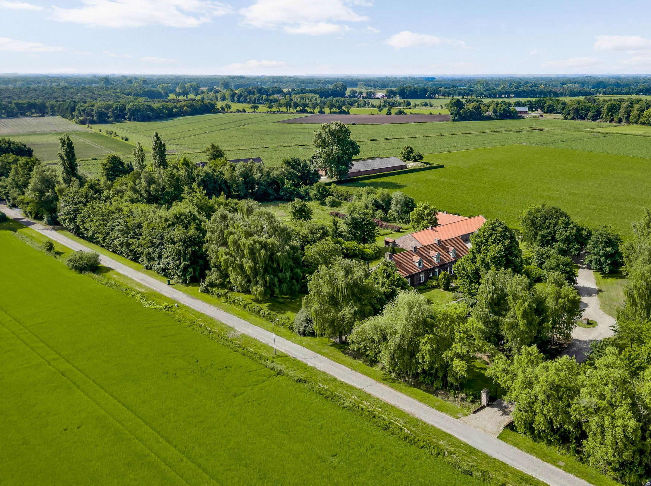 Foto 6 van Bergsheisteeg 1