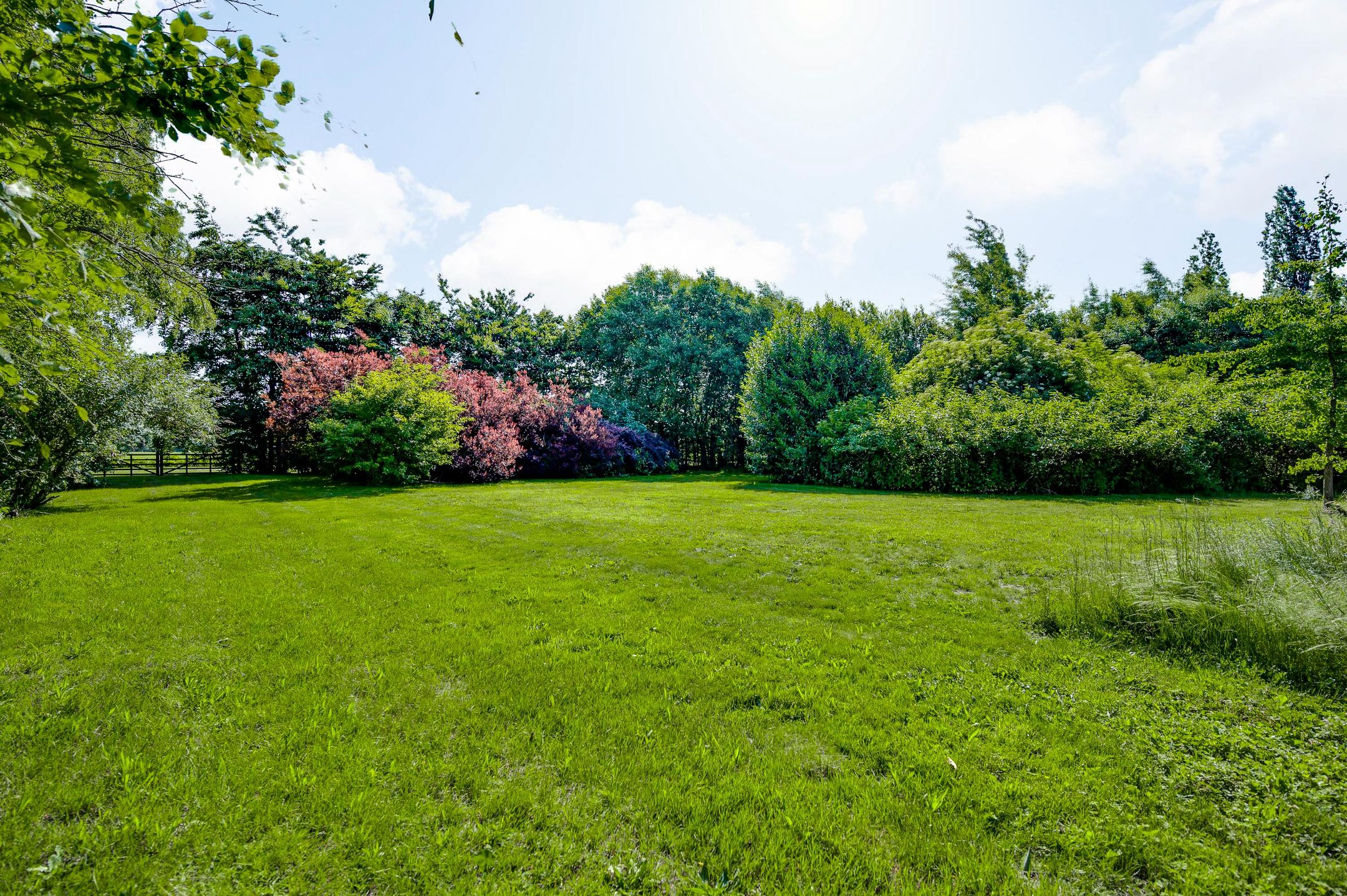 Foto 51 van Bergsheisteeg 1