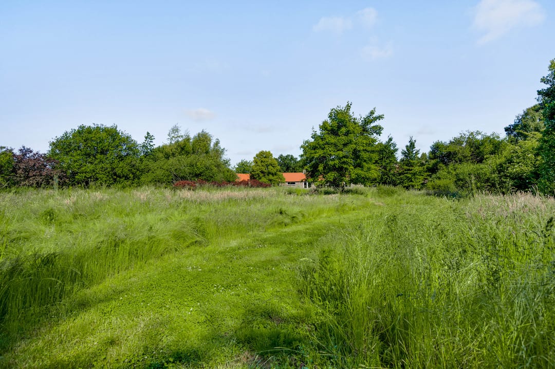 Foto 53 van Bergsheisteeg 1