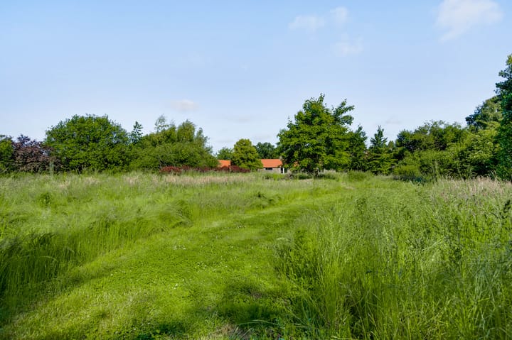 Foto 53 van Bergsheisteeg 1