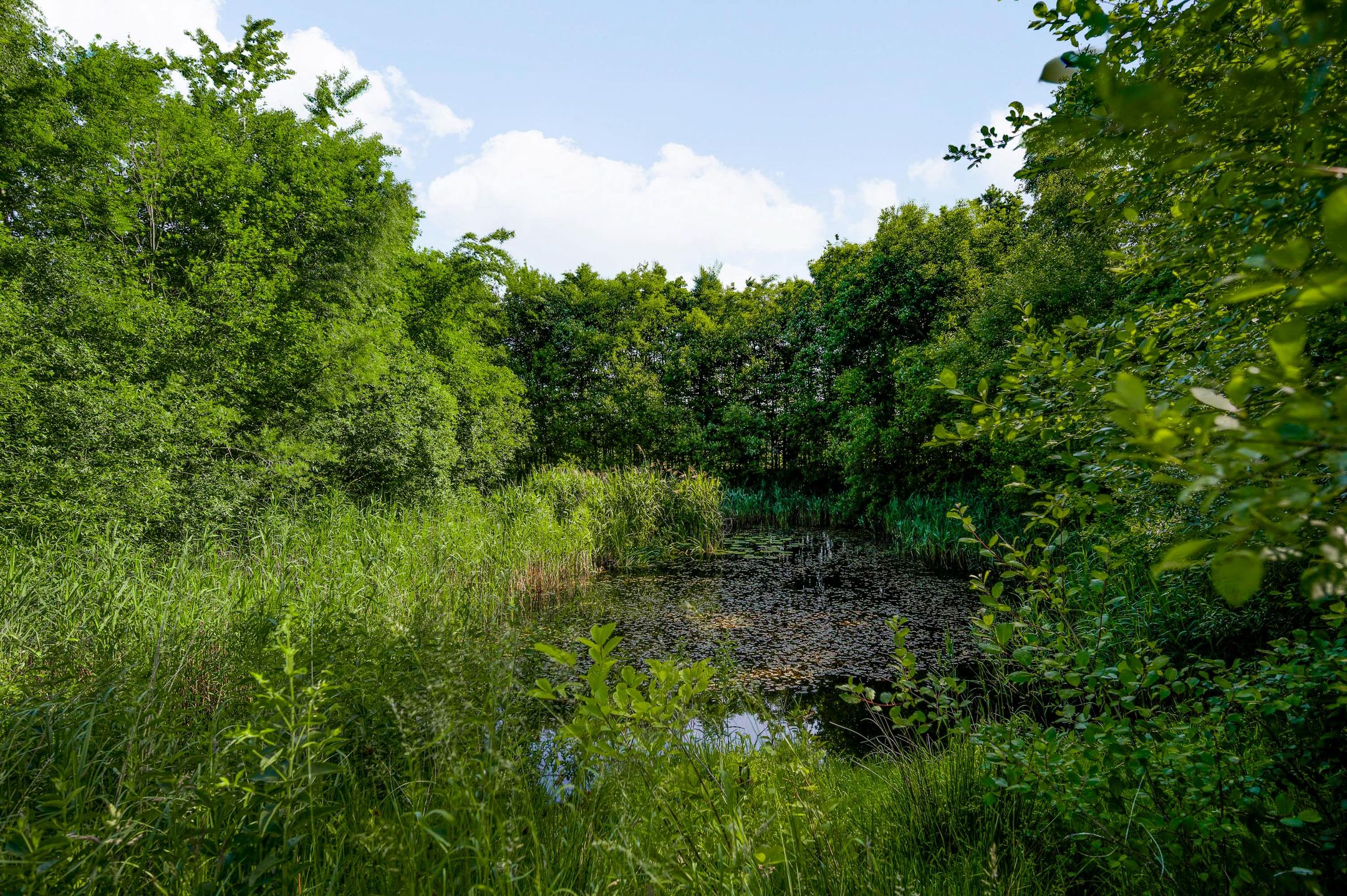 Foto 54 van Bergsheisteeg 1