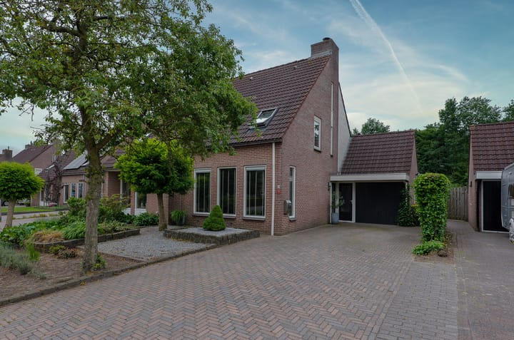 Bekijk foto van Kalmoes 53
