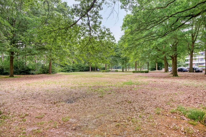 Foto 29 van Sibeliuspark 745