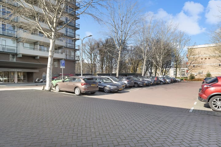 Foto 8 van Westelijk Halfrond 115-A