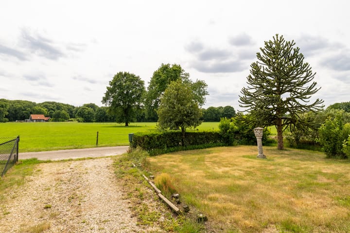 Foto 2 van Hogeweg 37