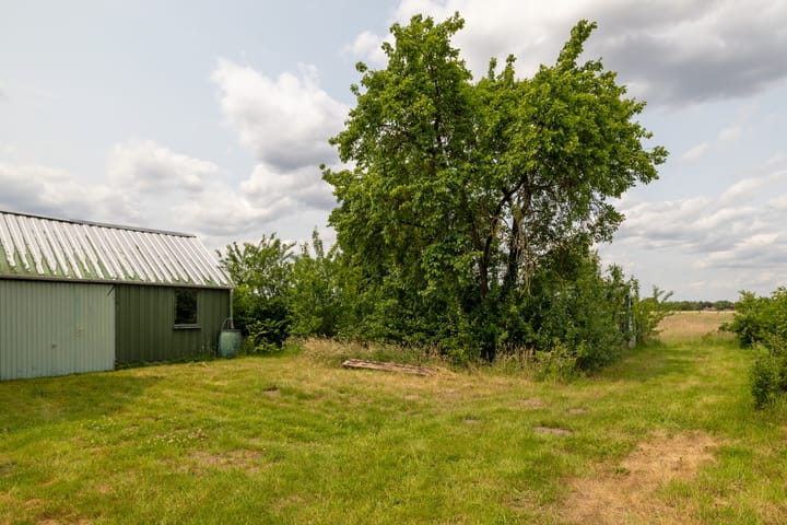 Foto 8 van Hogeweg 37