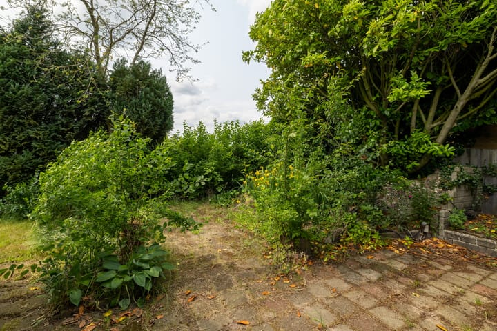 Foto 17 van Hogeweg 37