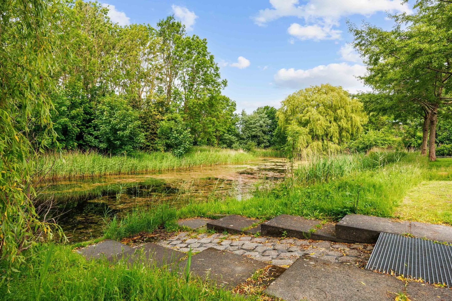 Foto 10 van Snepper 23