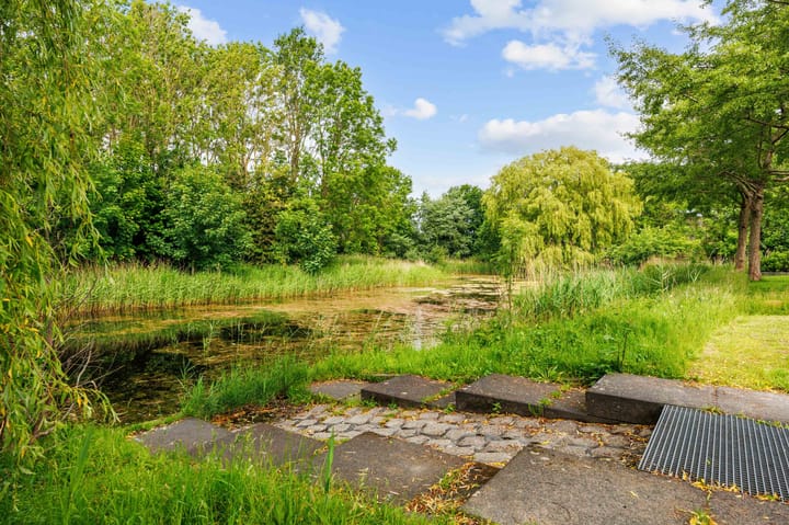 Photo 10 of Snepper 23