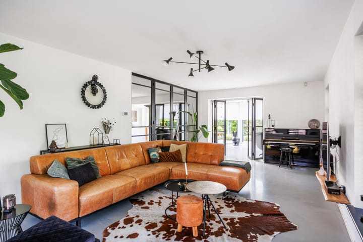 Photo 22 of Snepper 23