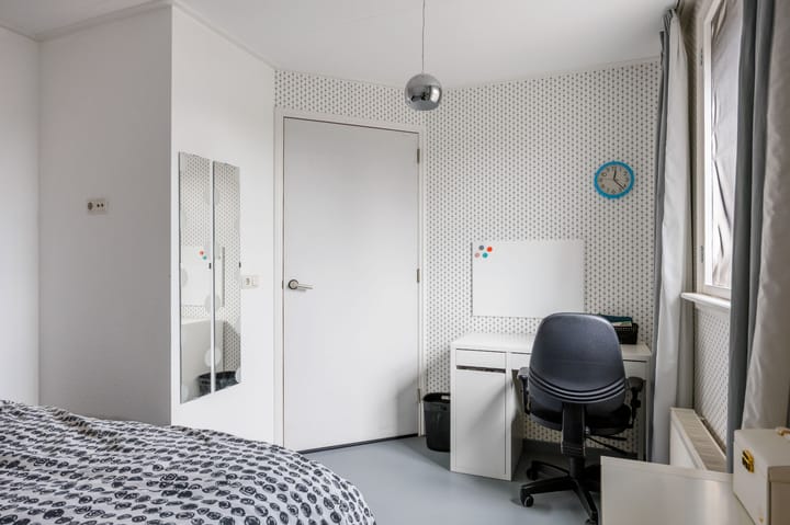 Photo 55 of Snepper 23