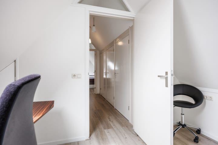 Photo 65 of Snepper 23