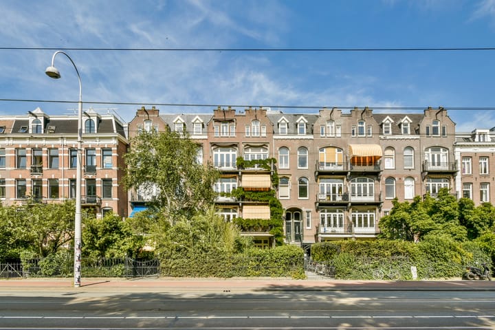 Foto 46 van Linnaeusstraat 45-A2