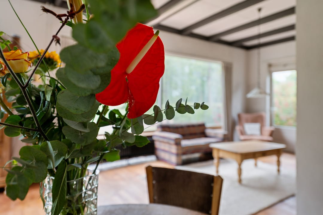 Foto 13 van Zandweg 193