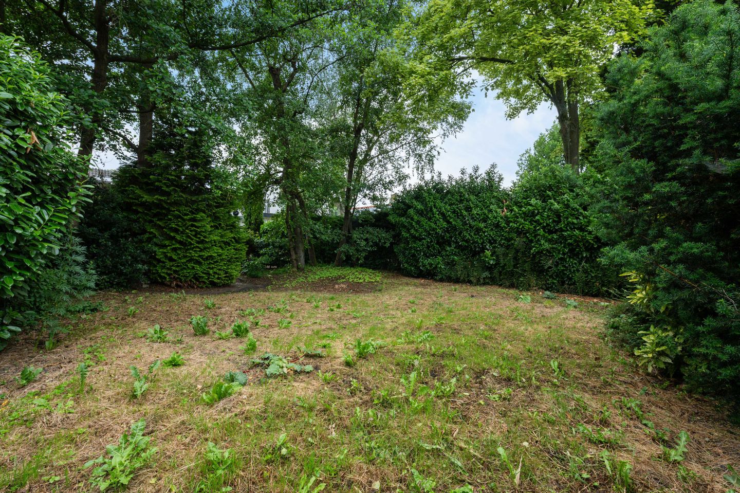 Foto 44 van Zandweg 193