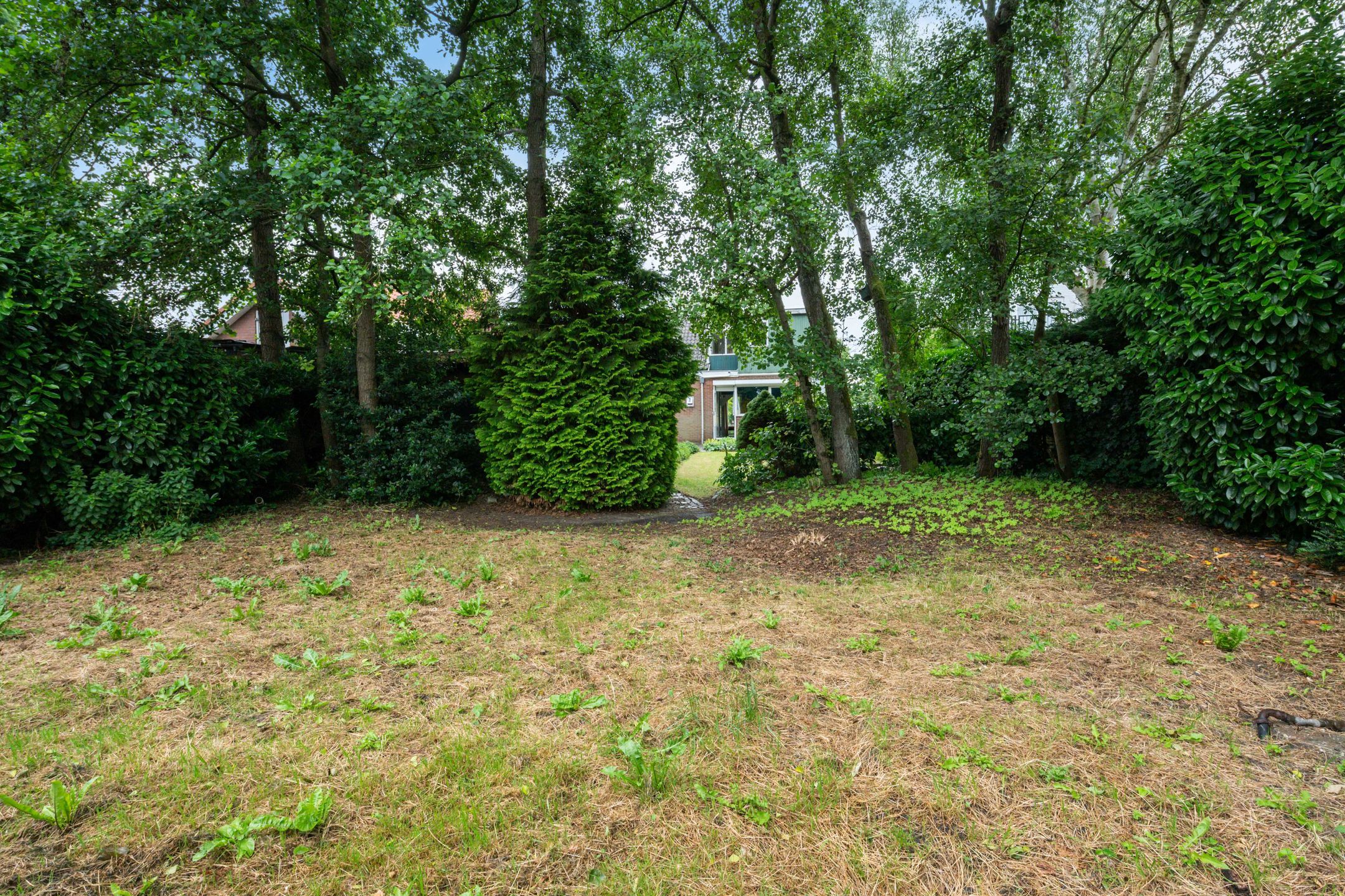 Foto 45 van Zandweg 193