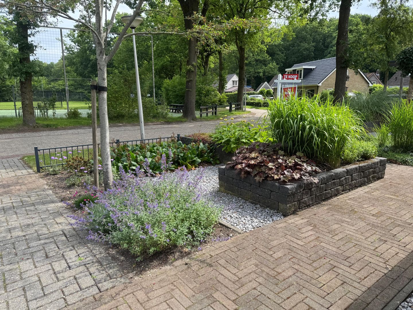 Foto 5 van Schoolakkers 15