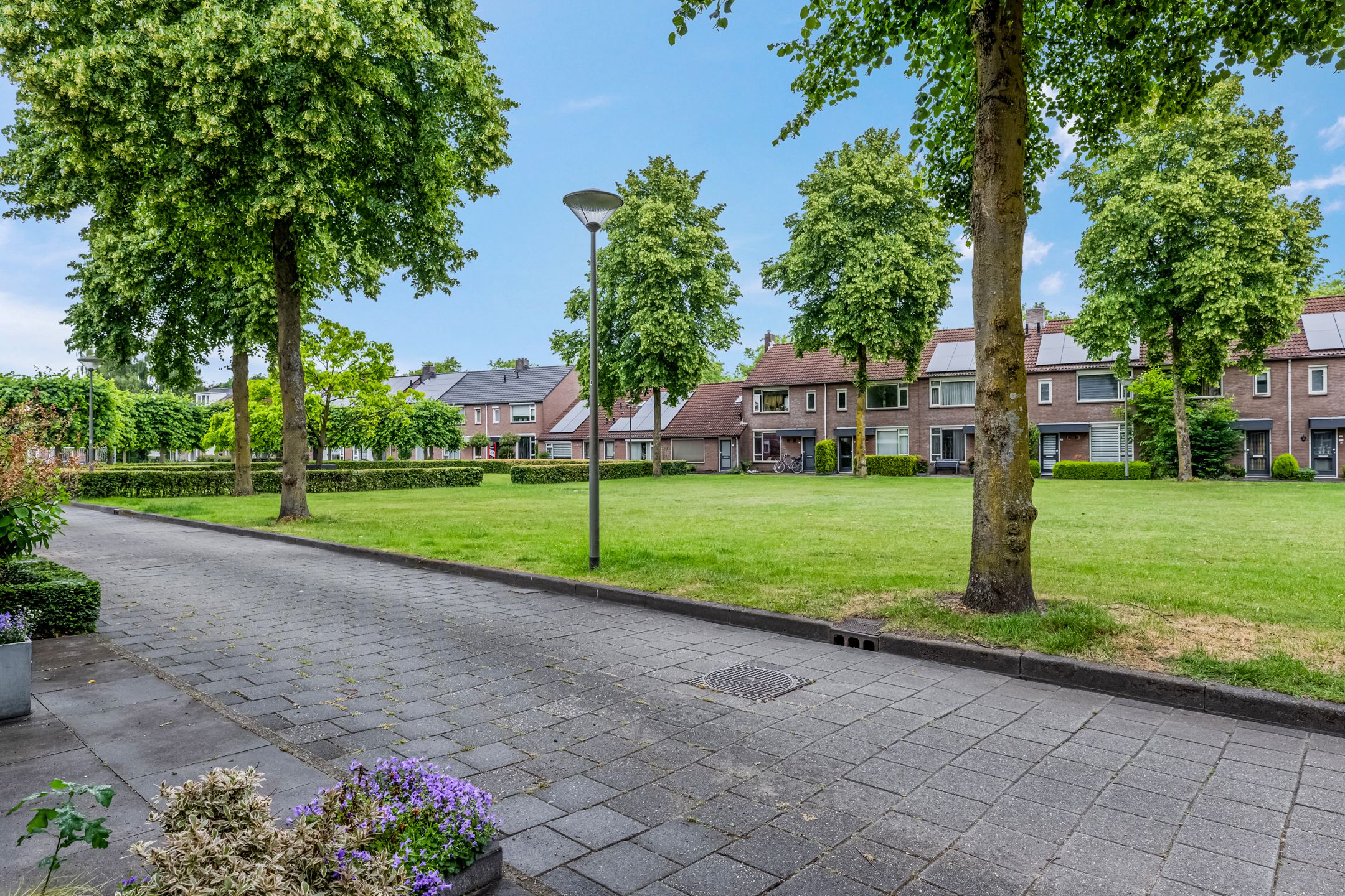 Foto 42 van Orion 10